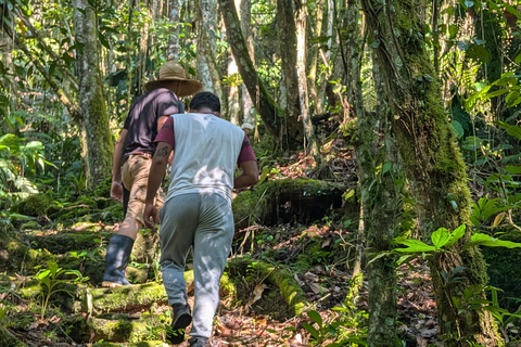 Santa Marta: 4-Day Nymejan Trek with Meals and Lodging