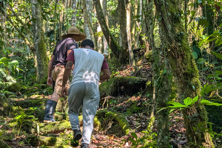 Santa Marta: 4-Day Nymejan Trek with Meals and Lodging