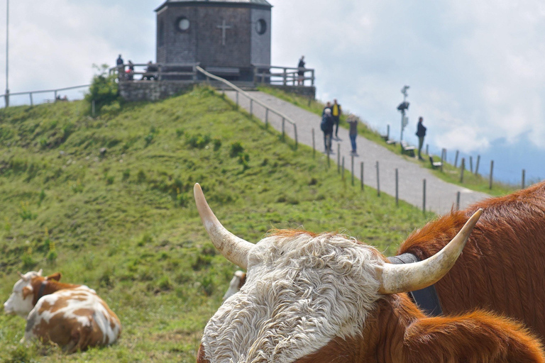 Easy mountain tour on the Wallberg near Tegernsee: with Peter by van & cable car Easy mountain tour Wallberg, Tegernsee: with Peter. Car & cable car. Private