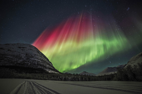 Tromso: wycieczka autobusem fotograficznym zorzy polarnej