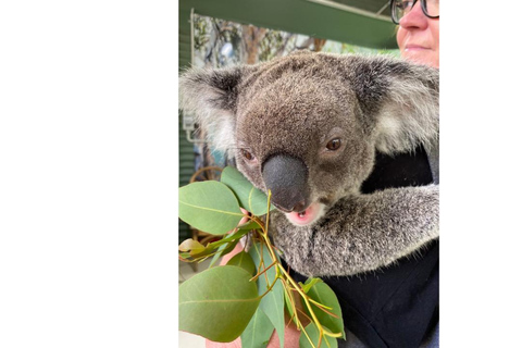 Perth Hills, Wildlife Park & Historic Pub Tour