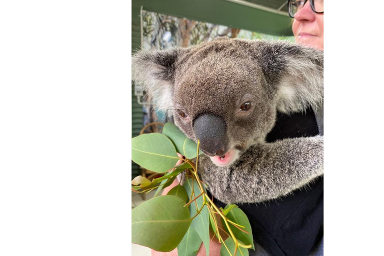 Perth Hills, Wildlife Park & Historic Pub Tour