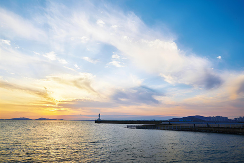 Seoul: Incheon Landing Operation & UN Forces Expert-Led Tour Incheon Landing Operation & UN Forces History (Private Tour)