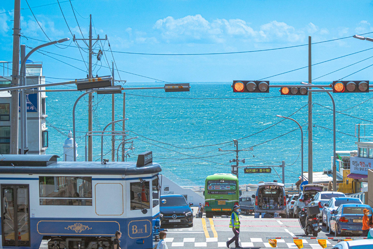 Busan : visite d&#039;une jounée Les activités incontournables à BusanBusan : visite d&#039;une jounée Activités incontournables à Busan