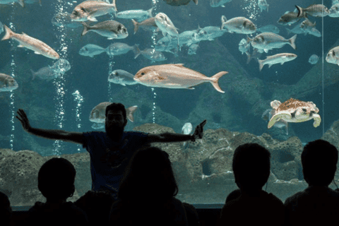 Heraklion: CRETAquarium Private Guided Tour with Ticket