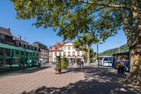 Heidelberg: recorrido en autobús turístico y castilloTour en autobús compartido en alemán