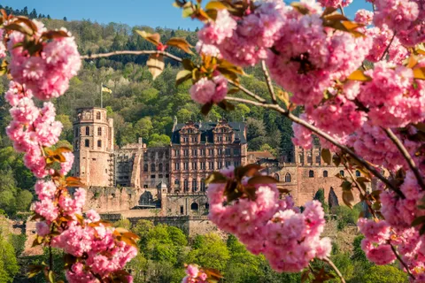 Heidelberg: Tour en autobús turístico y castillo