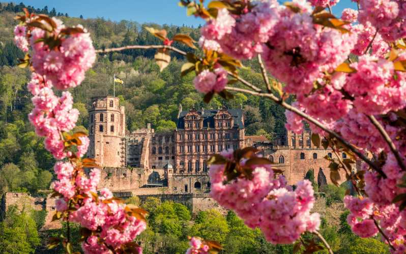 Heidelberg: bus turistico e tour del castello