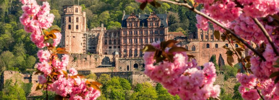 Heidelberg: Sightseeing Bus and Castle Tour
