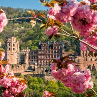 Heidelberg: bus turistico e tour del castello