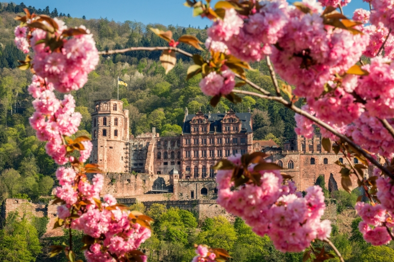 Heidelberg: Sightseeing-Bus und SchlosstourGruppen-Bustour auf Deutsch