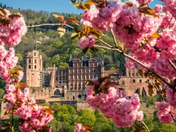 Heidelberg: Sightseeing Bus und Schlosstour Heidelberg: Sightseeing Bus und Schlosstour