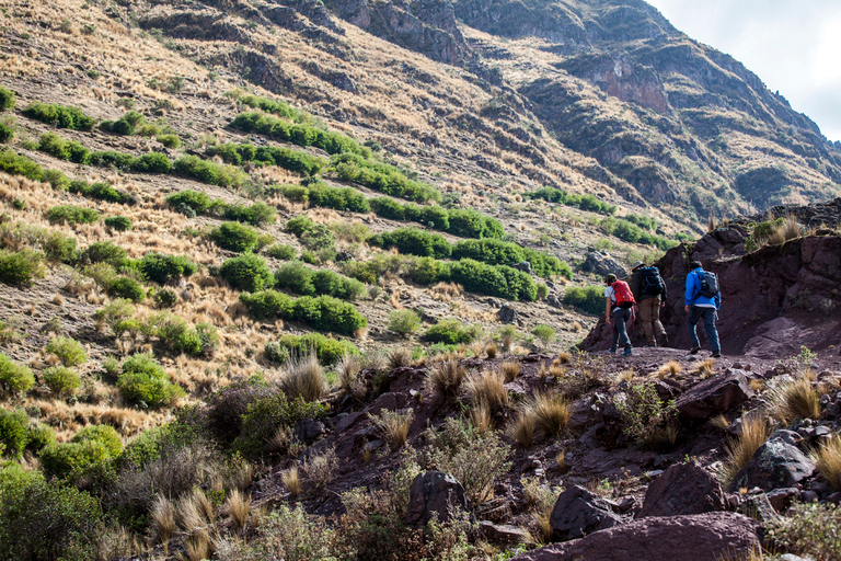 De Cusco: randonnée privée d'une journée à Huchuy Qosqo