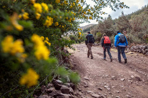 De Cusco: randonnée privée d'une journée à Huchuy Qosqo