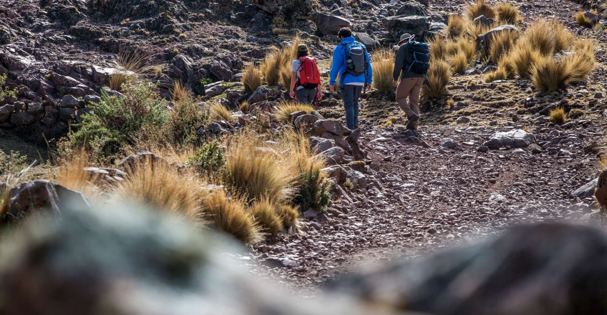 From Cusco, Huchuy Qosqo Private Full-Day Hike - Housity