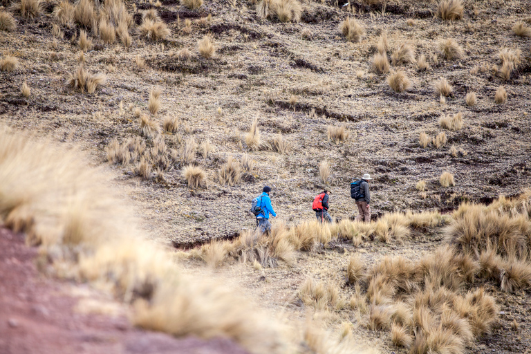 De Cusco: randonnée privée d'une journée à Huchuy Qosqo