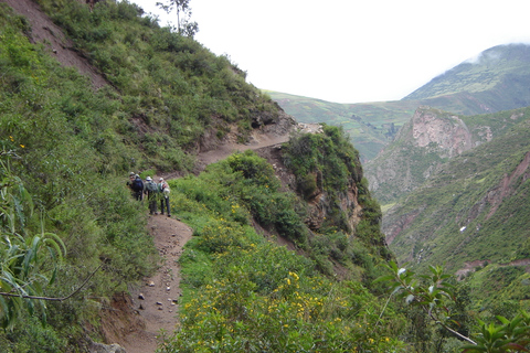 Desde Cusco: Caminata de día completo por el sendero de la cantera Inca a Cachicata