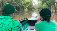 Amazonas, giro in barca con un locale amazzonico - Hizvo