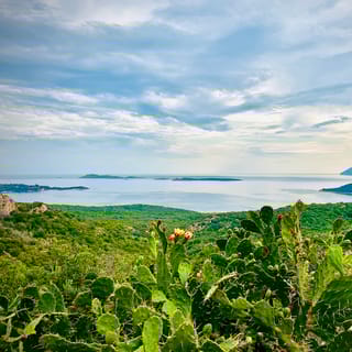 Z Olbii: Costa Smeralda Tuk-Tuk lub Minivan Tour