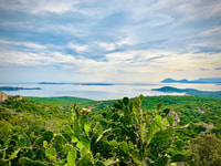 From Olbia, Costa Smeralda Minivan Tour - Housity