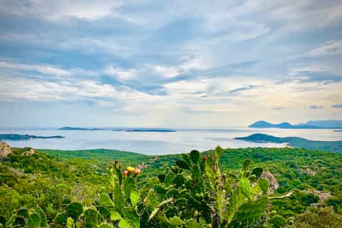 From Olbia: Costa Smeralda Tuk-Tuk or Minivan Tour