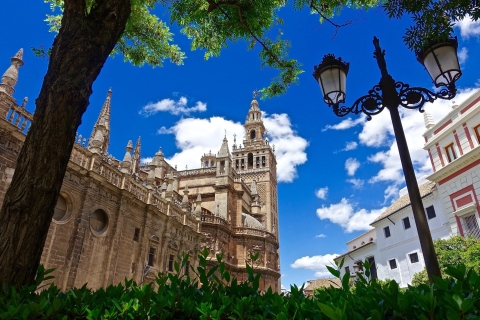 Séville : Visite guidée rapide de la cathédrale et de la GiraldaVisite guidée en français