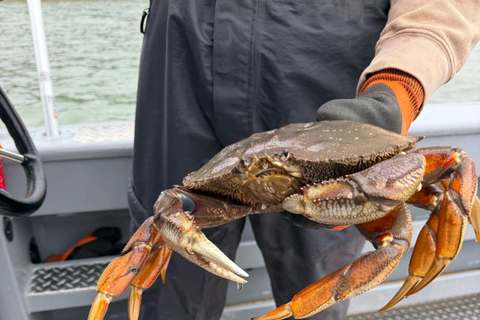 The Friendliest Catch: A Hands-On Alaska Crab Adventure