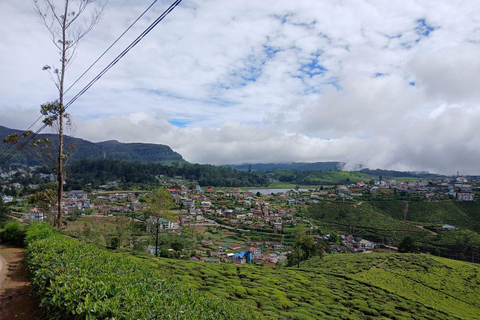 Kandy: Nuwara Eliya and Ambewela Train Station Tour