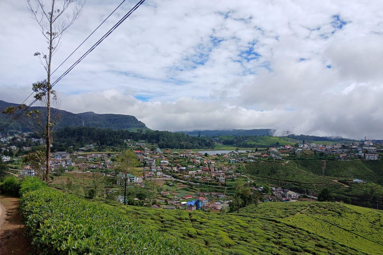 Kandy: Nuwara Eliya and Ambewela Train Station Tour