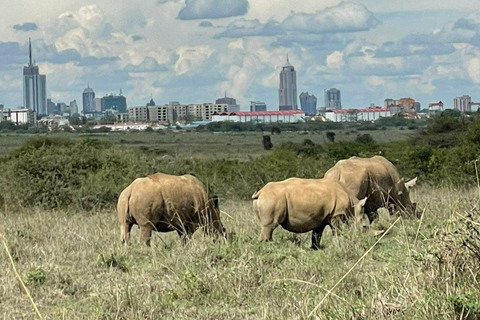 Nairobi National Park and Elephant Orphanage Day Excursions