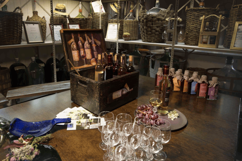 Cable Car to Latvian Manor & Wine Tasting