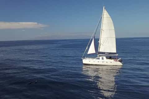 Costa Adeje: Masca Bay & Los Gigantes Cliffs Catamaran Trip