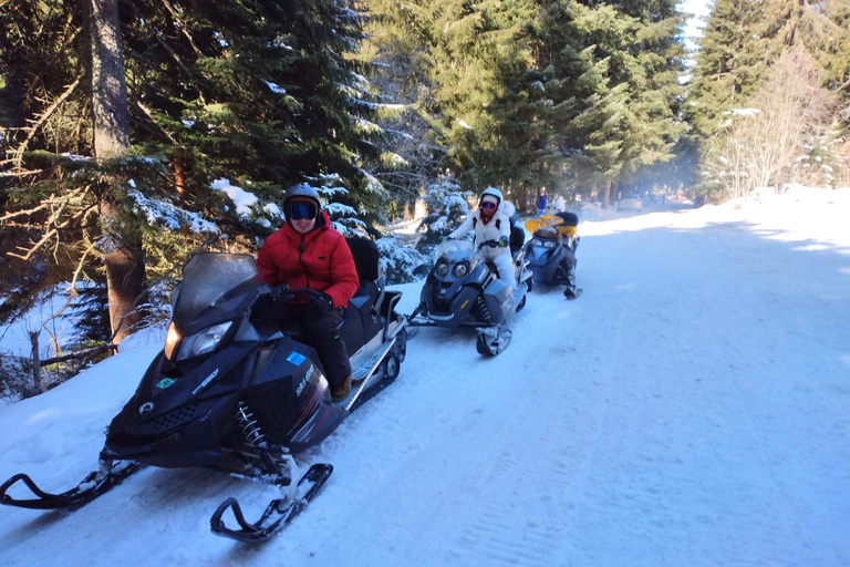 Viagem de 1 dia para o inverno na Montanha RilaViagem de um dia de inverno à montanha de Rila