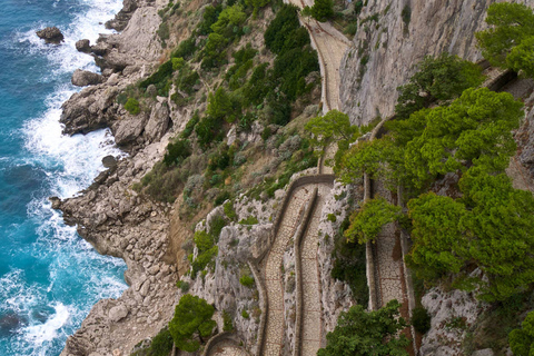 Van Positano: boottocht van een hele dag naar Capri