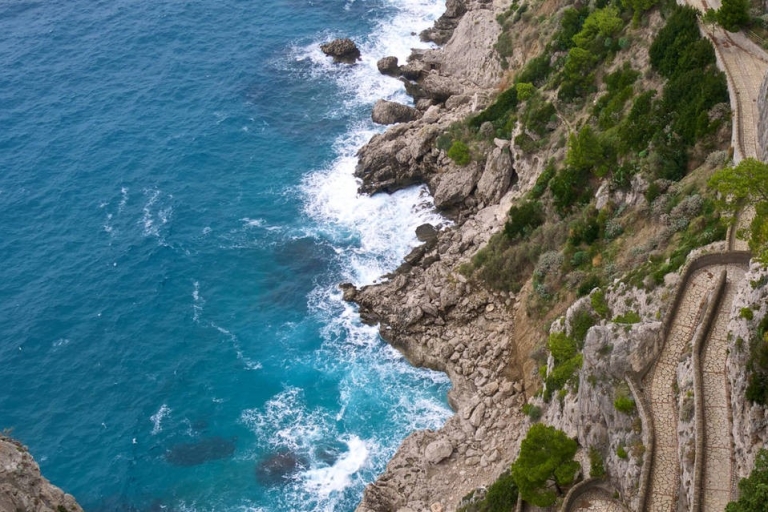 Desde Positano: viaje en barco de día completo a Capri