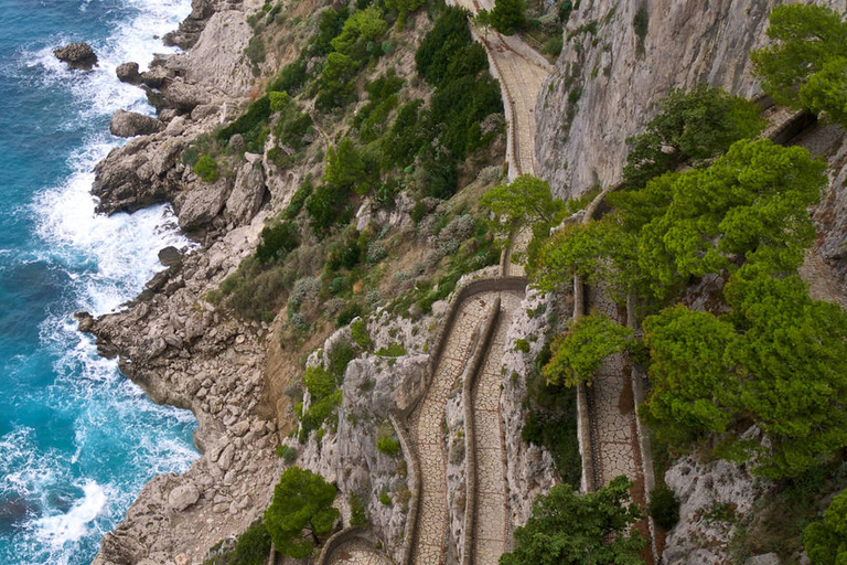 Desde Positano: viaje en barco de día completo a Capri