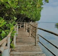 3D2N Aménagement des terres de Bantayan - Hizvo