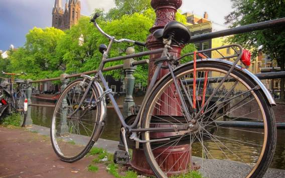 Amsterdam: Geführte Sightseeing-Tour mit dem Fahrrad