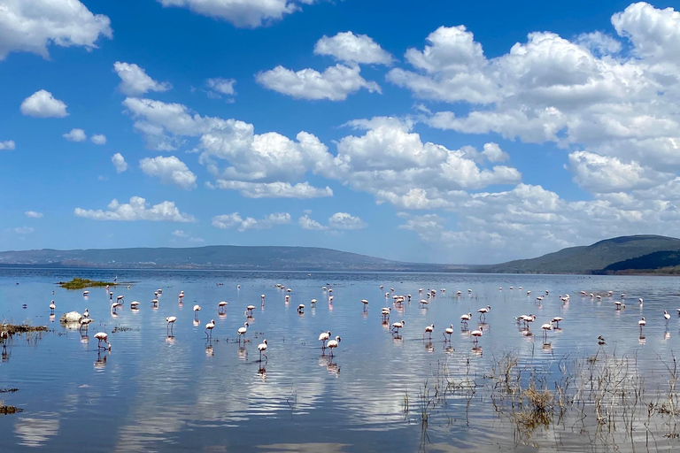 De Nairobi: Masai Mara, Nakuru et Amboseli Safari de 7 joursVisite publique avec balade en montgolfière