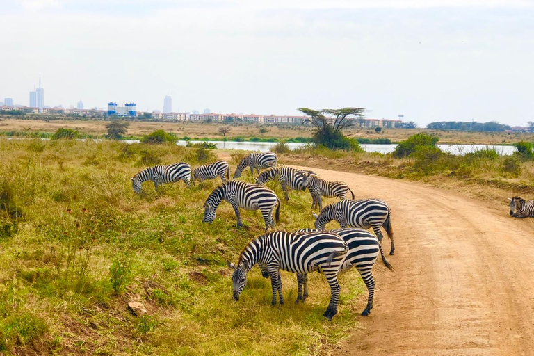 Nairobi: visite du parc national privé et expérience CarnivoreVisite privée en après-midi et dîner