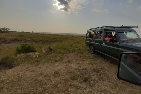 Nairobi: visite du parc national privé et expérience CarnivoreVisite privée en après-midi et dîner