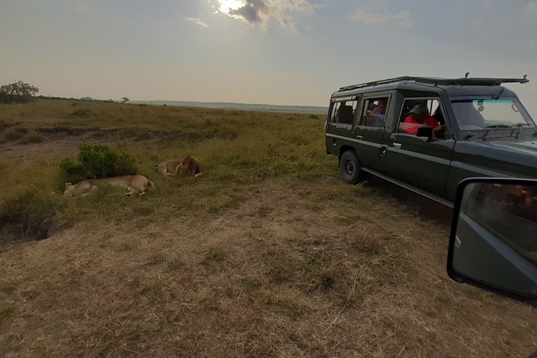 Nairobi: visite du parc national privé et expérience CarnivoreVisite privée en après-midi et dîner