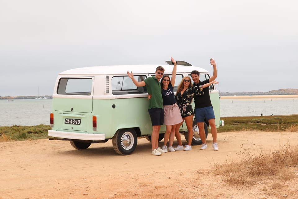 Organic wine tour in a Volkswagen T2 Van
