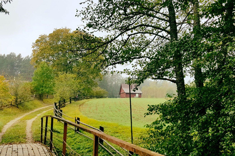 Dzūkija Forest & Traditional Villages from Vilnius/Kaunas