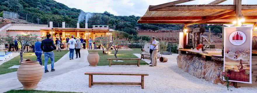 Crète : Visite d'une fabrique d'huile d'olive, dîner et danse traditionnelle