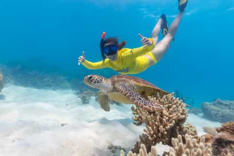 Cape Tribulation Ocean Safari Tour