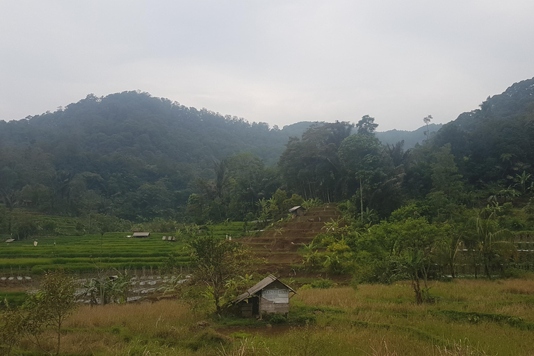 The Breathtaking Views Of The Countryside In Bandung