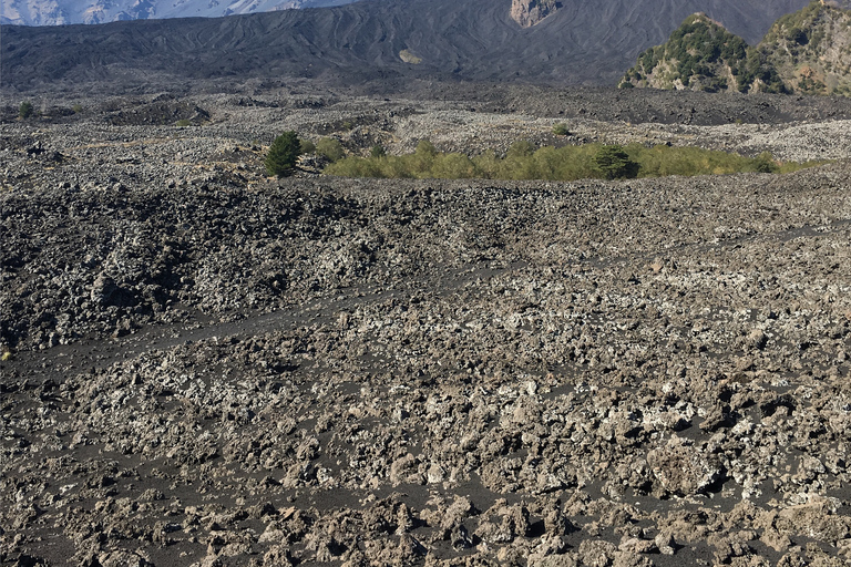 Sicily: Etna Volcano & Taormina Tour