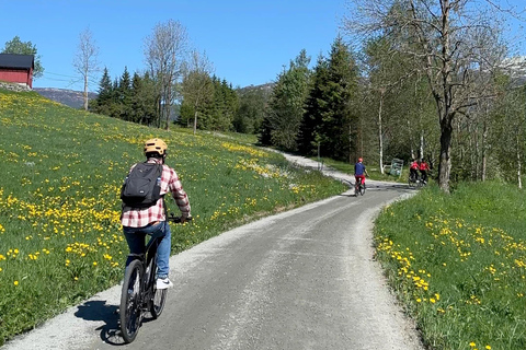 E-bike rondleiding met gids in Olden