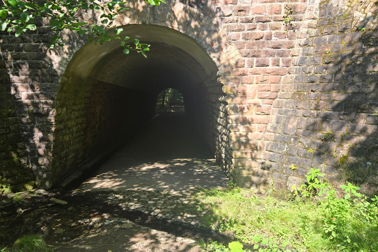 Emmelshausen / Boppard guided hike "Hunsrück Railway Trail"